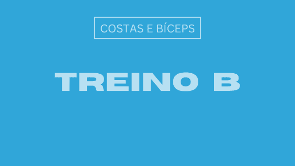 Treino B: Costas e Bíceps